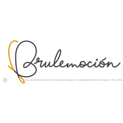 Colaboración con Brulemoción