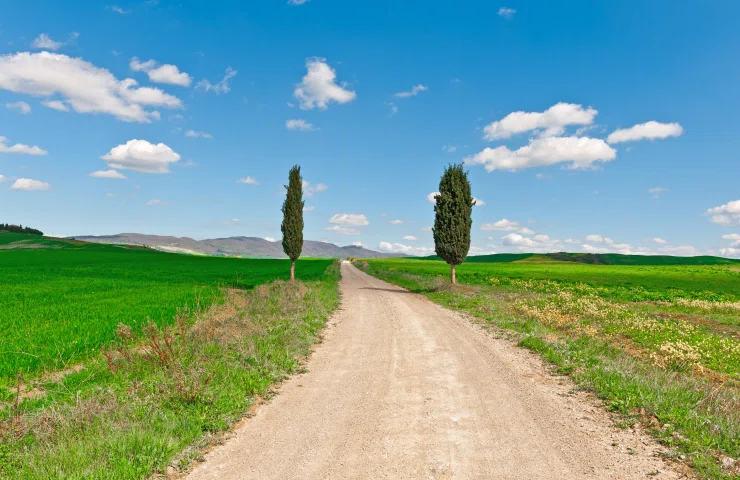 El nacimiento de "El Viaje Oncológico"